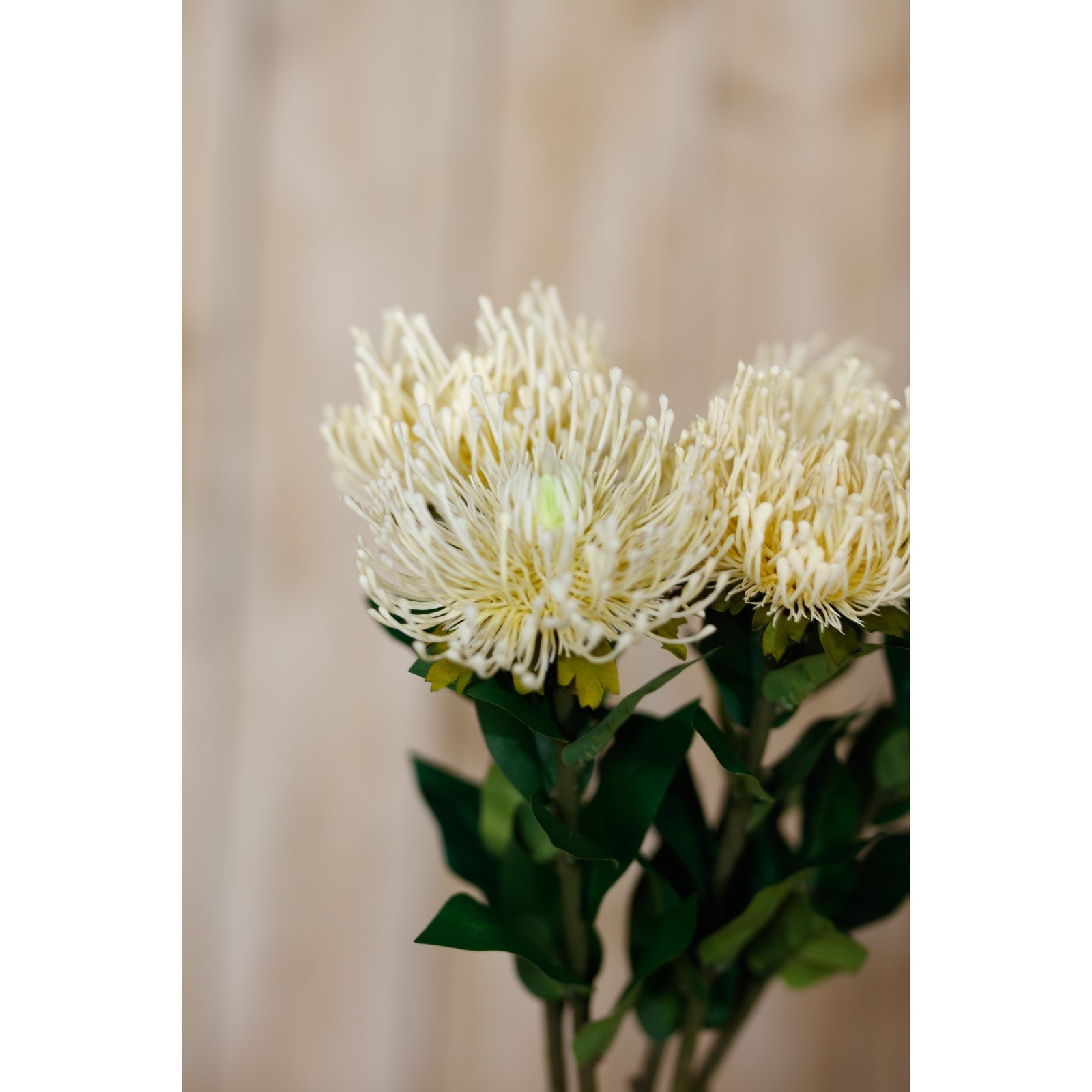 Lifelike cream protea stem with spherical blooms and lush green leaves, ideal for enhancing modern or rustic decor.
