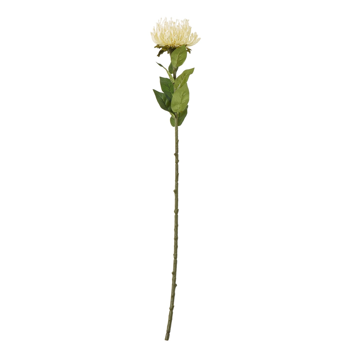 Lifelike cream protea flower on a tall green stem with lush foliage, perfect for elegant home decor.