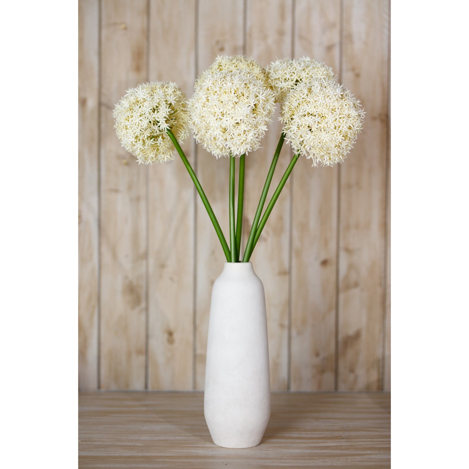 Delicate cream Giant Allium stems in a minimalist white vase, adding elegance to any decor with a charming, sophisticated touch.