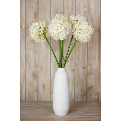 Cream Giant Allium Stem - Single Stem Flowers from the Quanta Home collection.