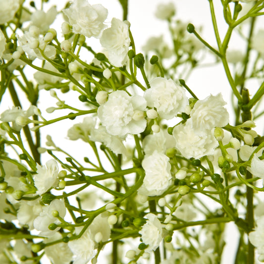 Cream Gypsophila spray with delicate white blooms and green stems, offering an airy, elegant touch for refined decor.