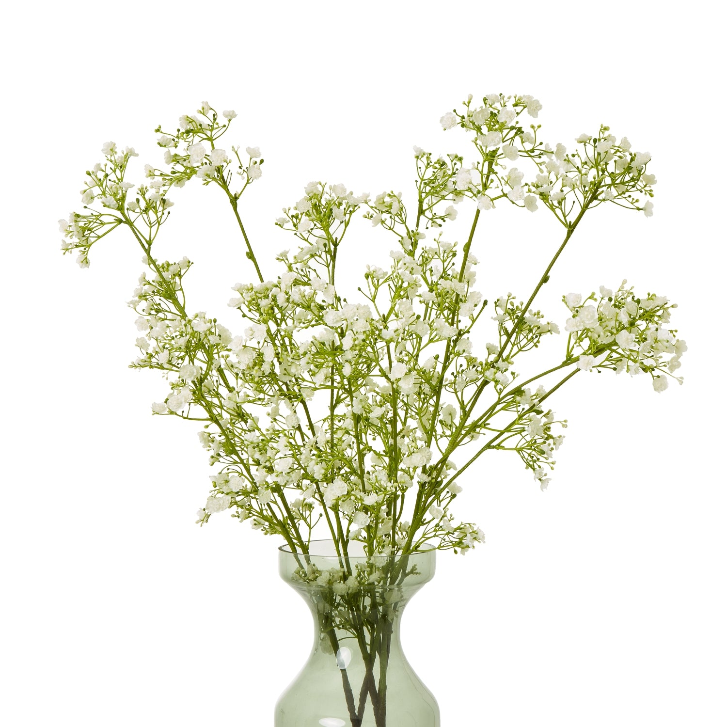 Cream Gypsophila spray with delicate white blooms and green stems in a clear vase, adding understated elegance to decor.