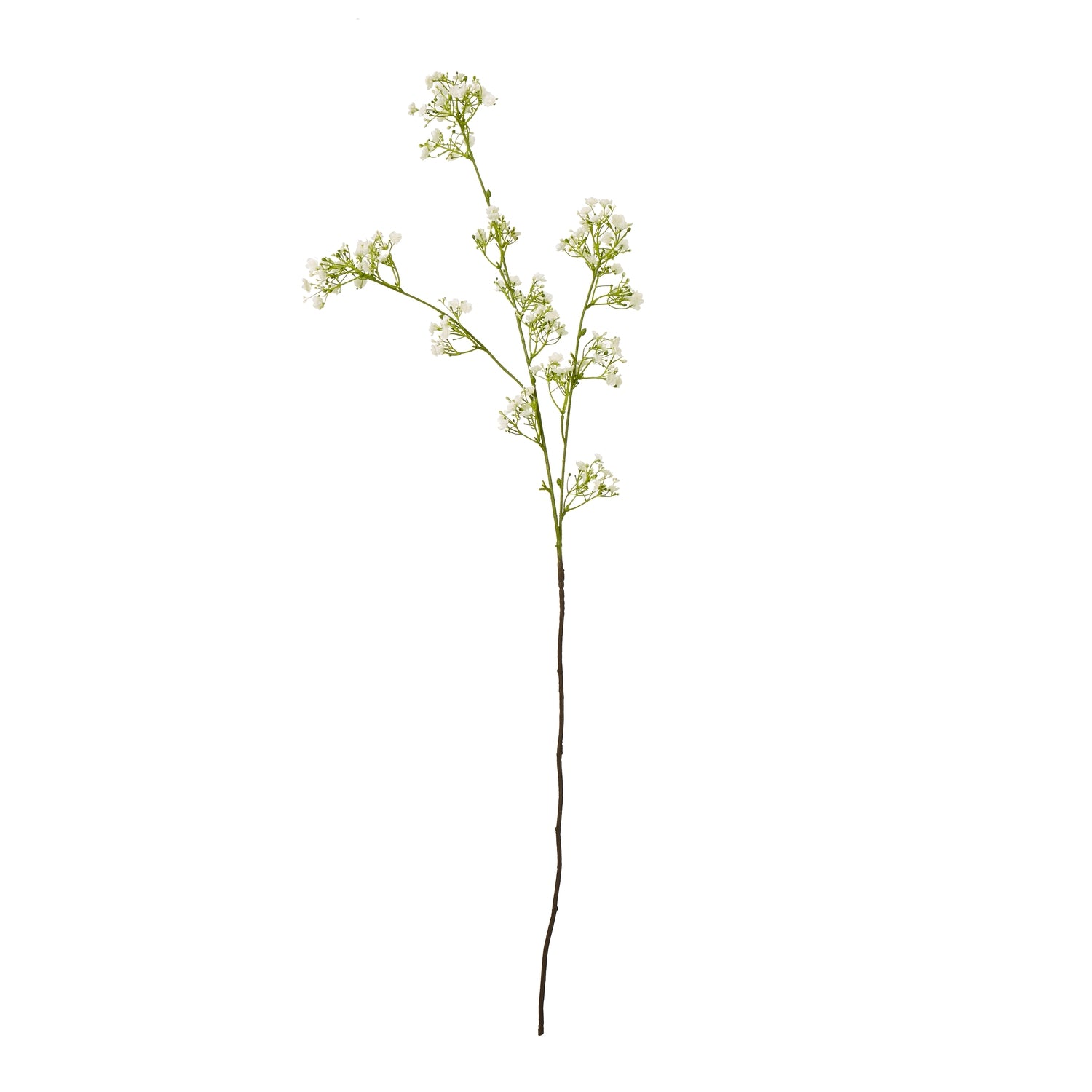 Delicate cream gypsophila spray featuring airy clusters of small white blooms on a slender green stem, ideal for elegant decor.