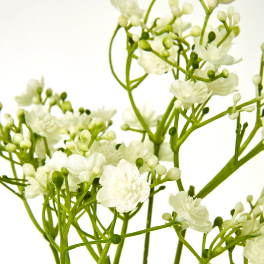 Delicate cream gypsophila stems with intricate blooms and green buds, adding a soft, elegant touch to any decor.