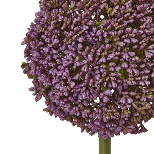 Spherical purple Allium bloom with detailed petals on a green stem, offering a sophisticated touch for any decor.