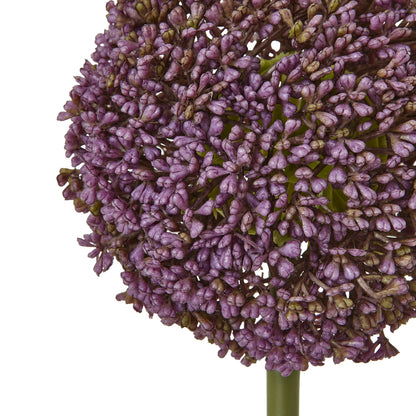 Purple Allium Stem - Single Stem Flowers from the Quanta Home collection.