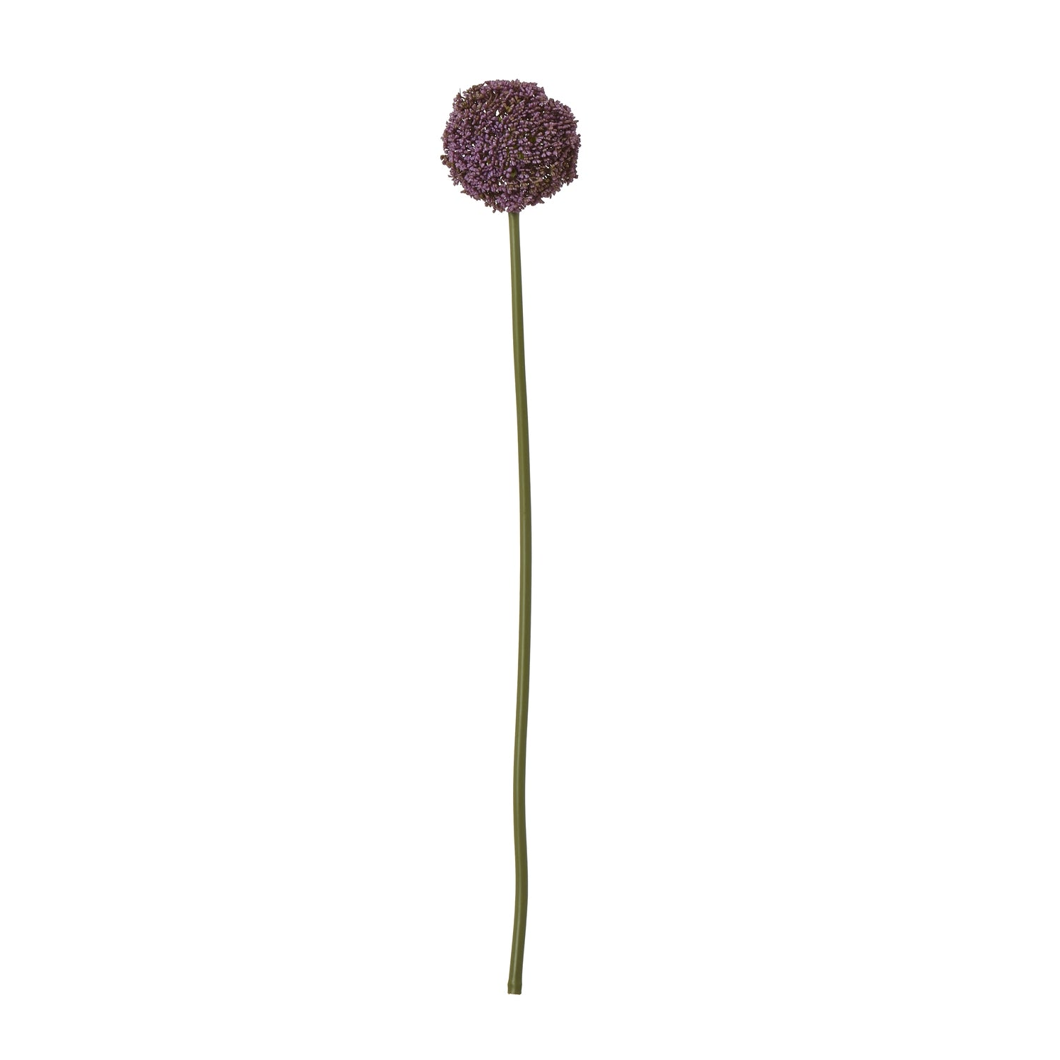 Single long green stem topped with a spherical purple bloom, resembling an Allium flower, exuding elegance and sophistication.