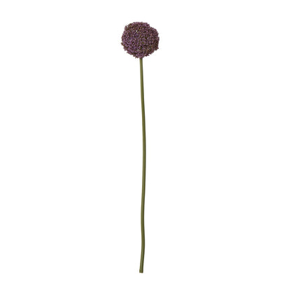 Purple Allium Stem - Single Stem Flowers from the Quanta Home collection.