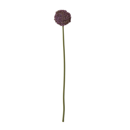 Purple Allium Stem - Single Stem Flowers from the Quanta Home collection.
