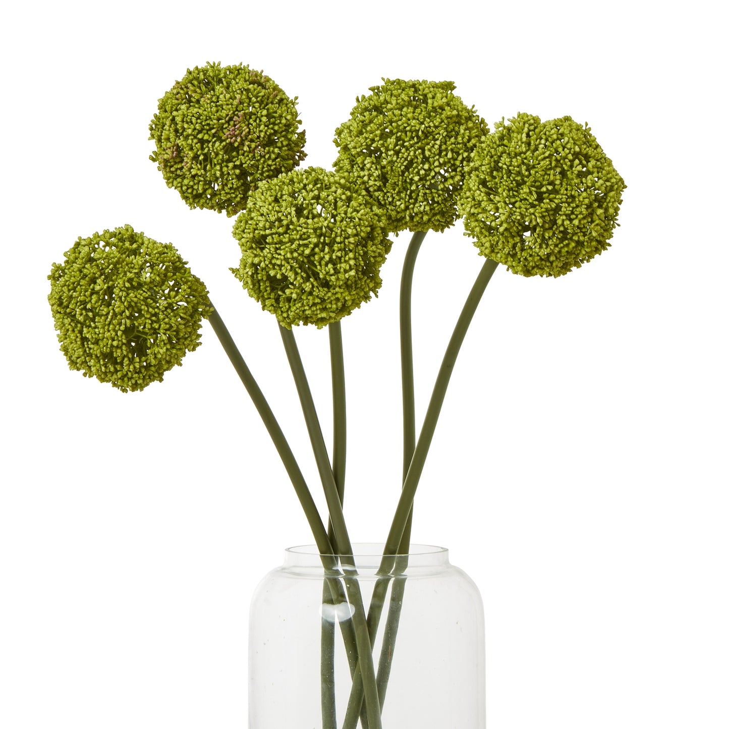 Green allium stem features densely-packed green florets on thin stems, showcasing a natural, elegant design for versatile decor.
