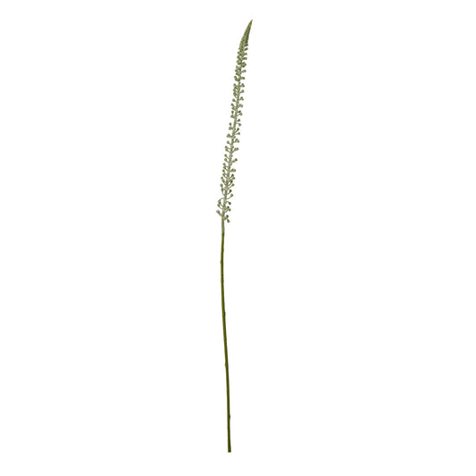 White Eremurus Stem - Single Stem Flowers from the Quanta Home collection.