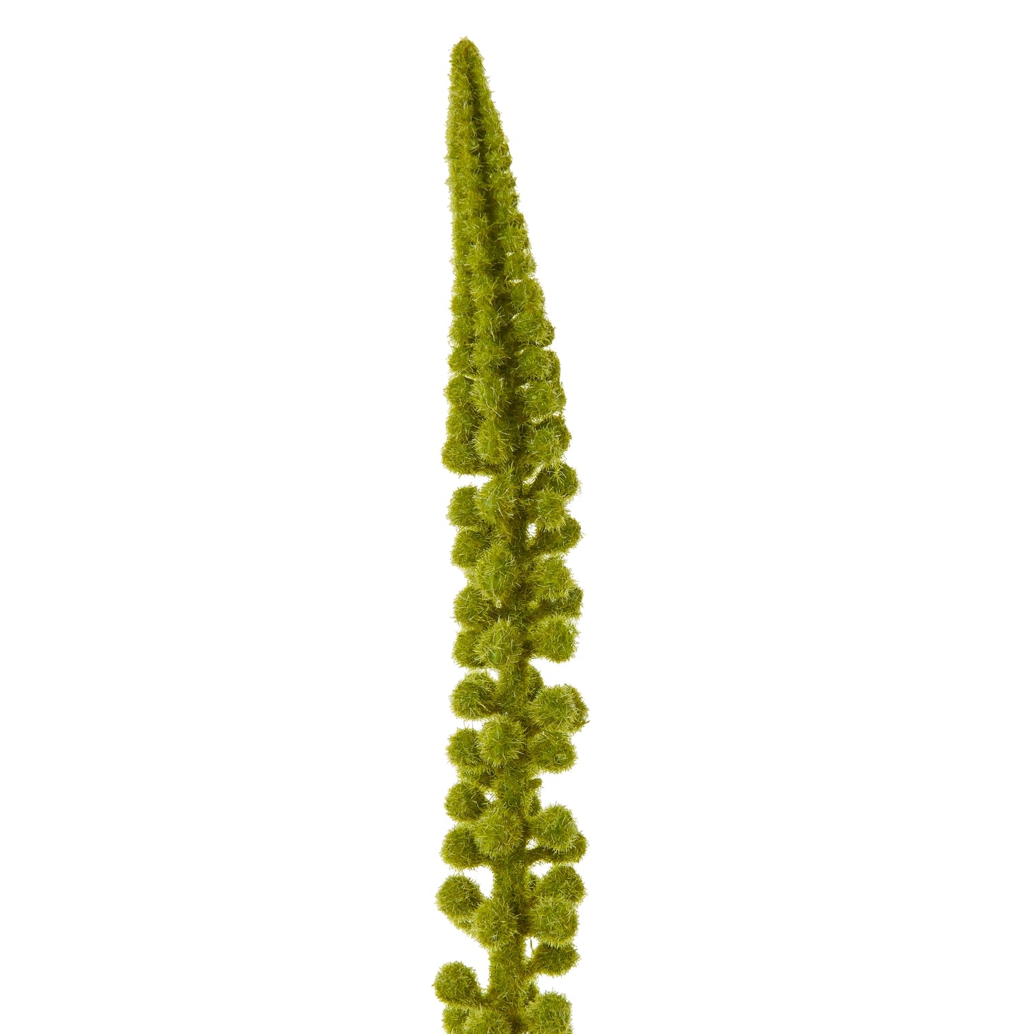 Tall green Eremurus stem features cascading foliage, designed for elegance in modern or farmhouse decor. Perfect standalone accent.