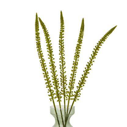 Green Eremurus Stem - Single Stem Flowers from the Quanta Home collection.