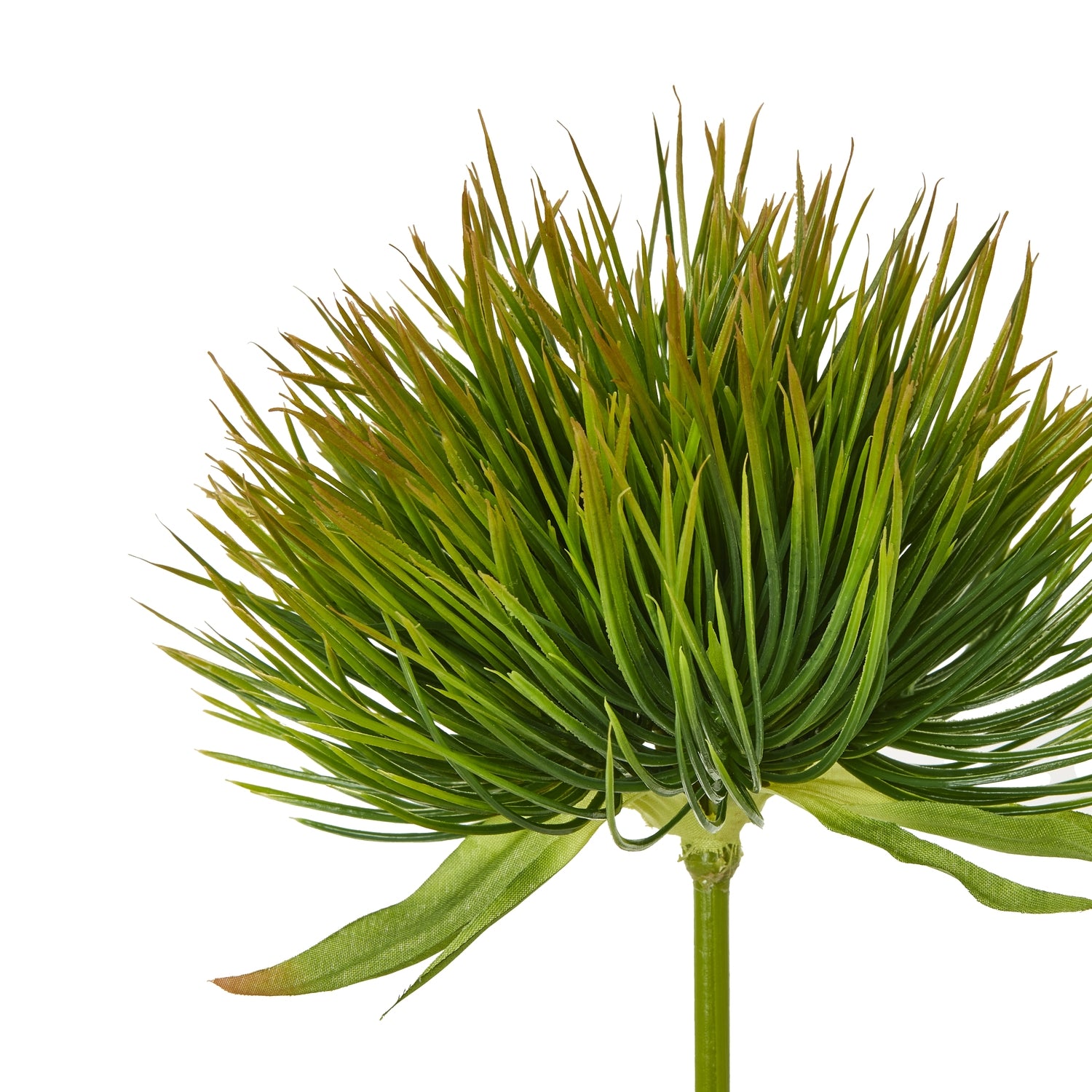 Realistic green moss stem with feathery fronds, exuding natural elegance for versatile modern or rustic decor.