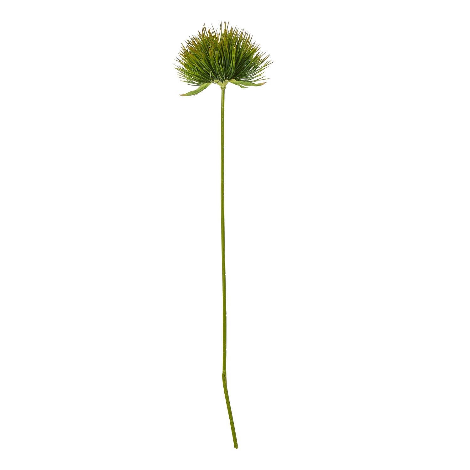 Realistic green moss stem with feathery fronds, perfect for adding elegant, natural decor to any interior style.