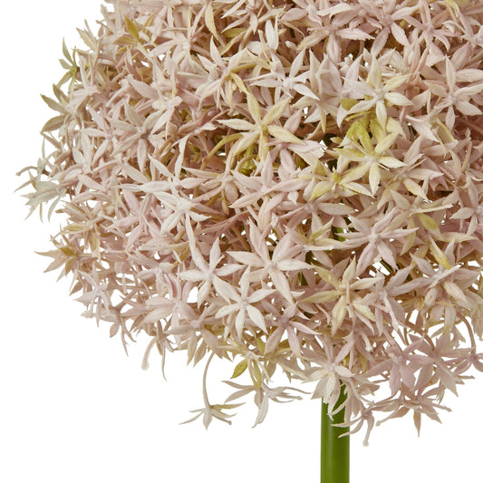 Lilac giant allium stem with soft lavender petals, featuring a spherical shape, ideal for elegant floral arrangements.