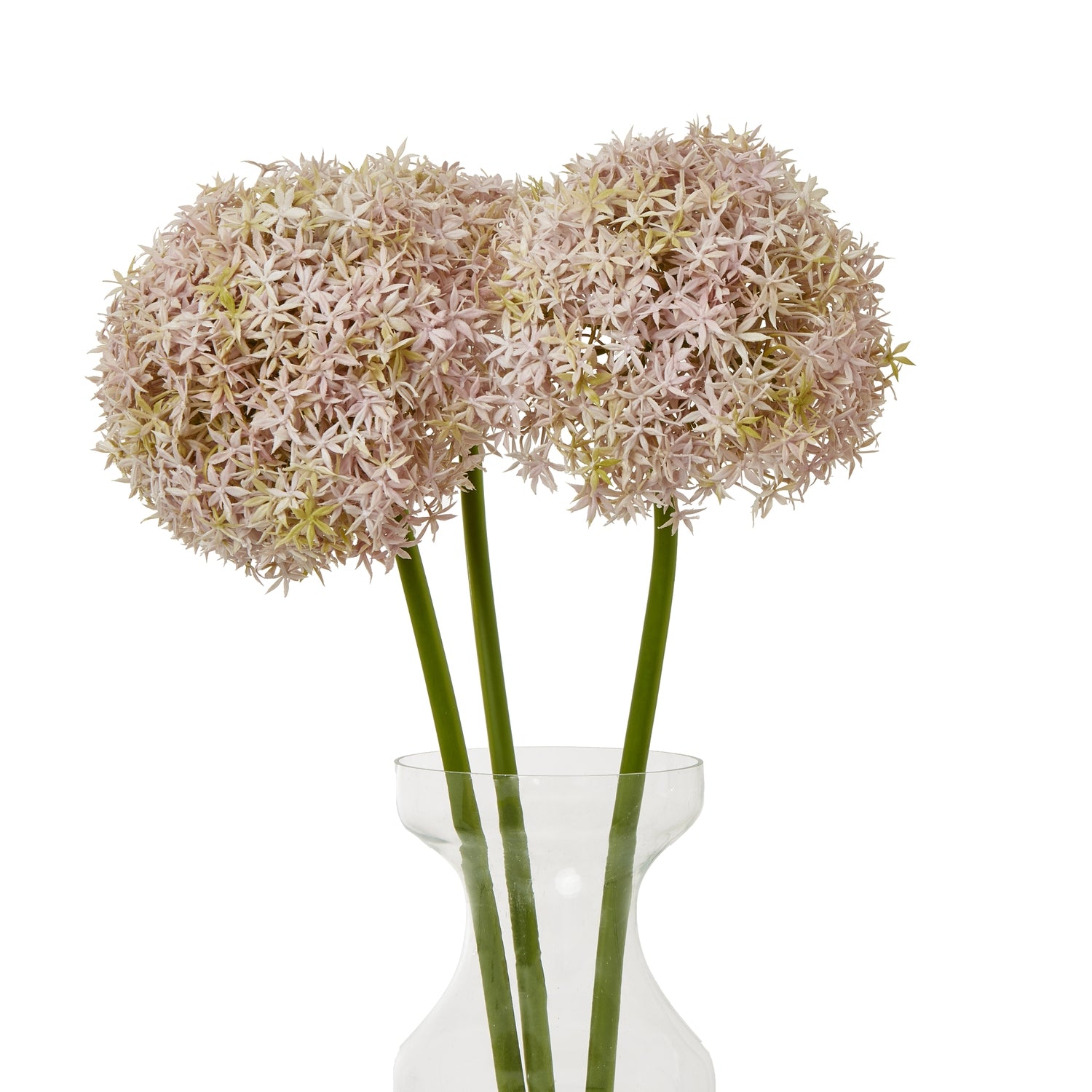 Lavender-hued faux Allium flowers with a spherical shape, gracefully arranged in a clear vase, enhancing elegant decor.