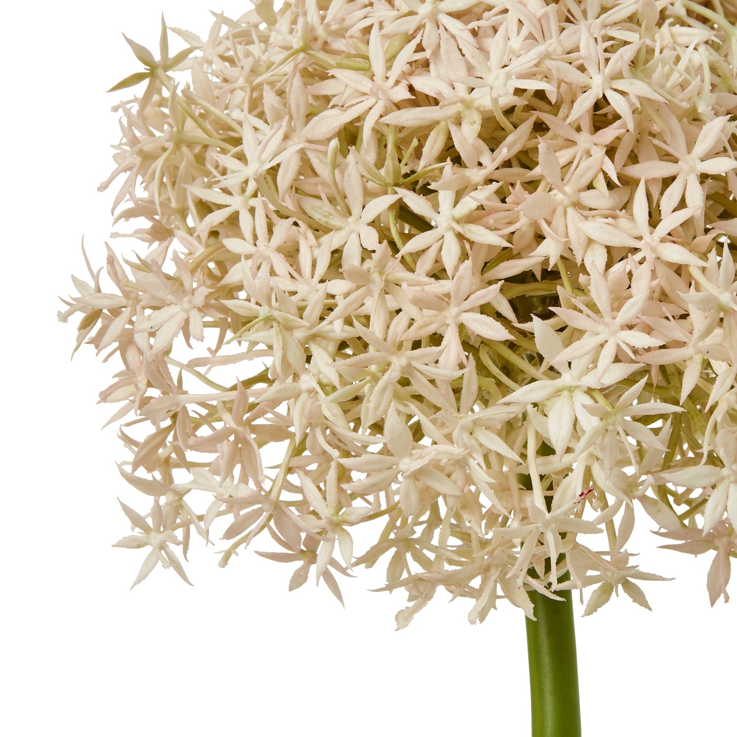 Lifelike pink giant allium stem featuring delicate petals and a tall green stem, perfect for elegant home decor.