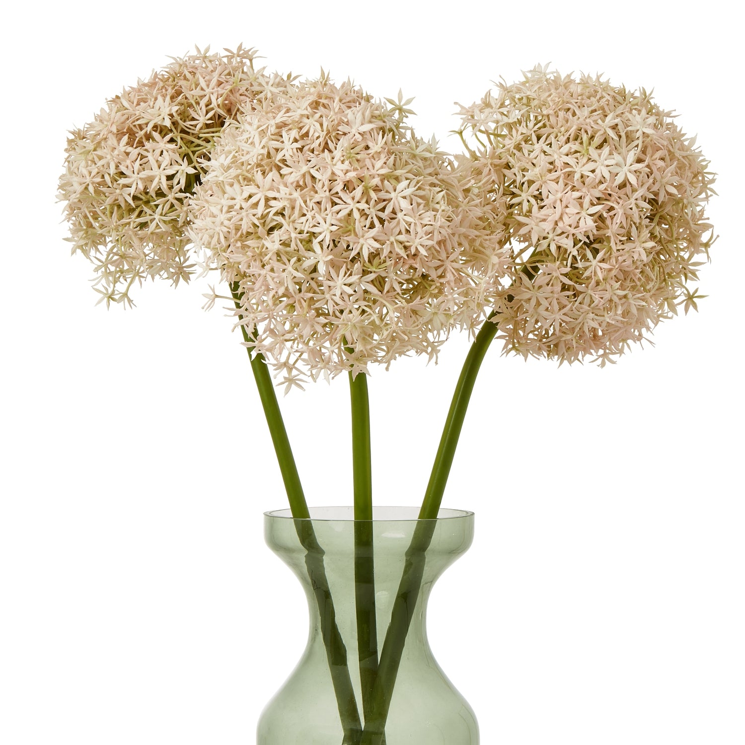 Soft pink allium stems with delicate star-shaped petals, arranged in a graceful green vase, adding elegance to any decor.