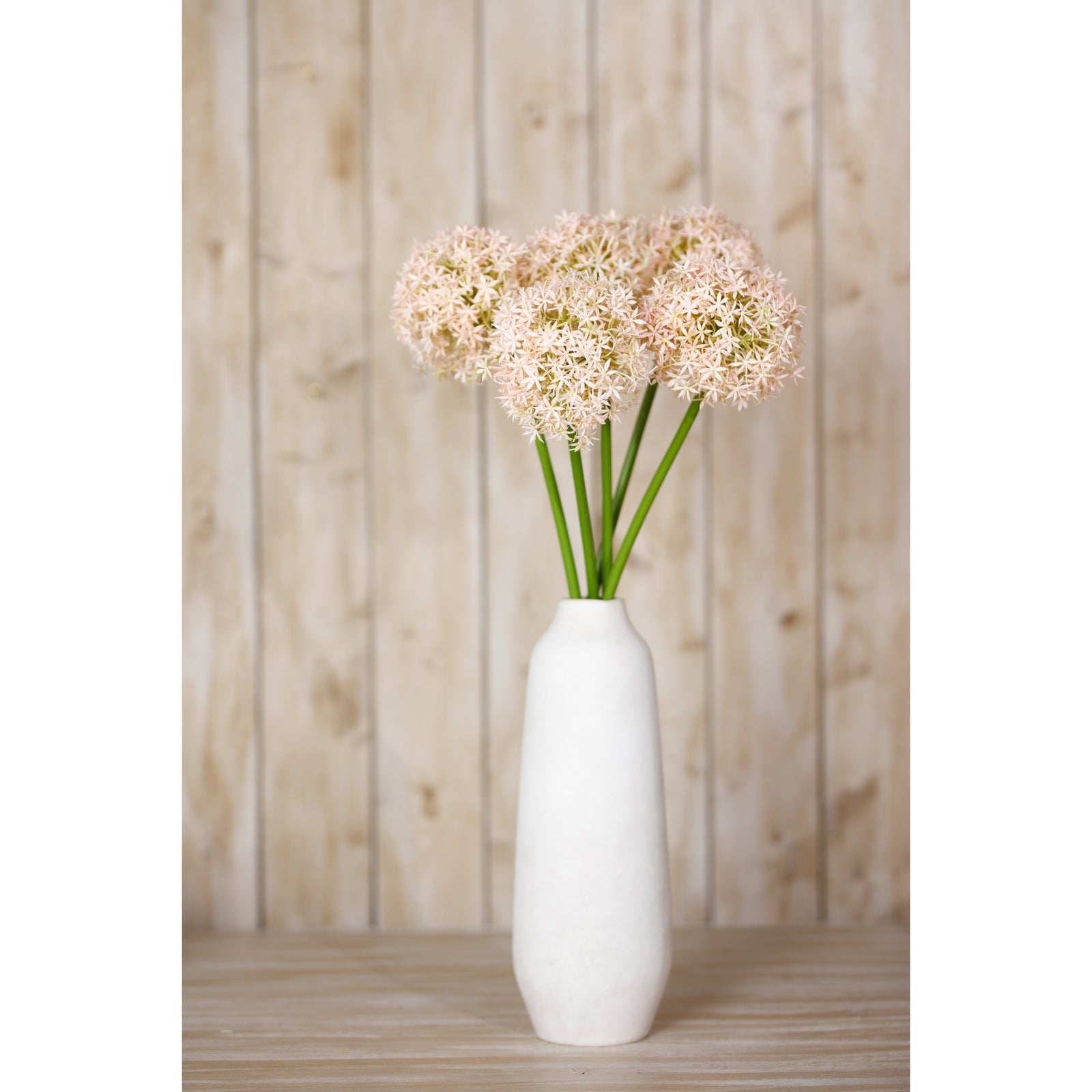 Soft pink giant allium blooms atop long green stems in a sleek white vase, set against a rustic wooden background.