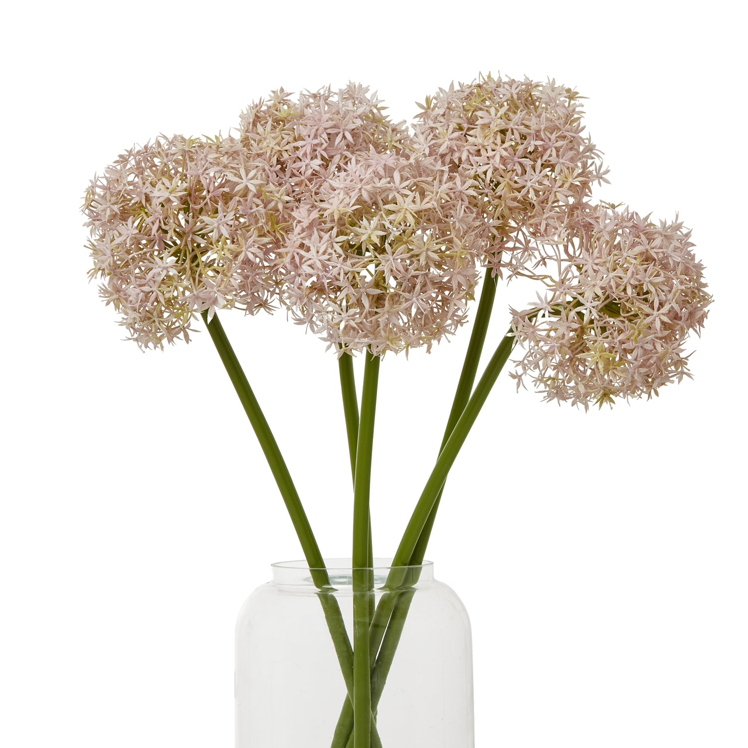 Delicate lilac and ivory spherical blooms on green stems, arranged in a clear glass vase for a sophisticated floral accent.