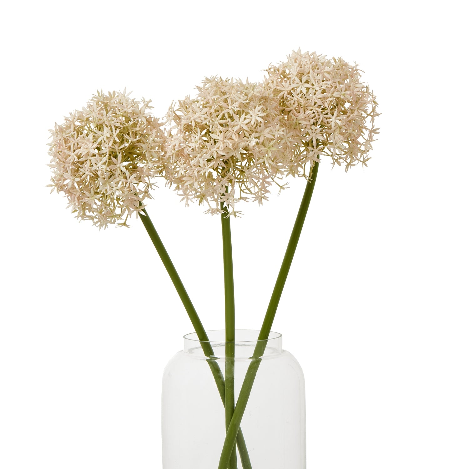 Pink allium stem featuring delicate spherical blooms with pink and ivory florets, presented in a clear glass vase.