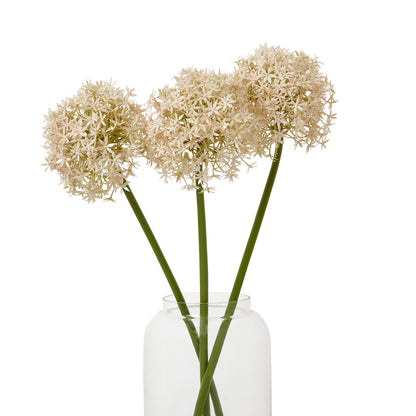 Pink Medium Allium Stem - Single Stem Flowers from the Quanta Home collection.