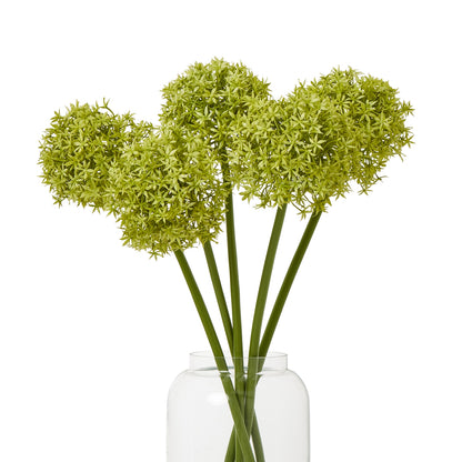 Green Medium Allium Stem - Single Stem Flowers from the Quanta Home collection.