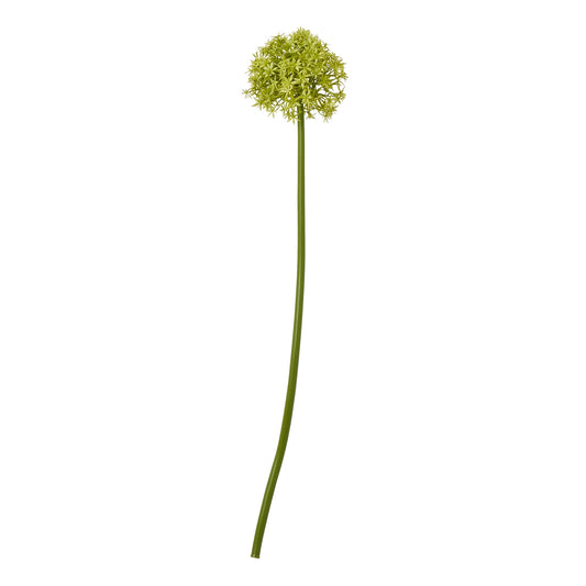 Green Medium Allium Stem - Single Stem Flowers from the Quanta Home collection.