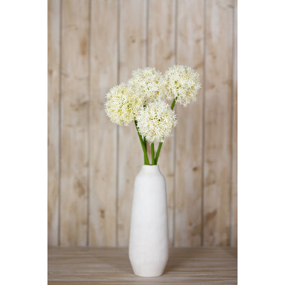 Cream Medium Allium Stem - Single Stem Flowers from the Quanta Home collection.