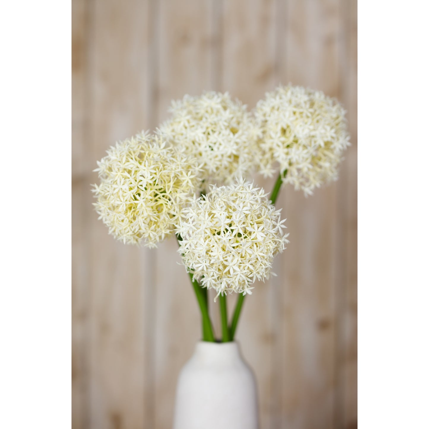 Cream artificial Allium stem with delicate, clustered flowers on slender green stems, arranged in a simple white vase.