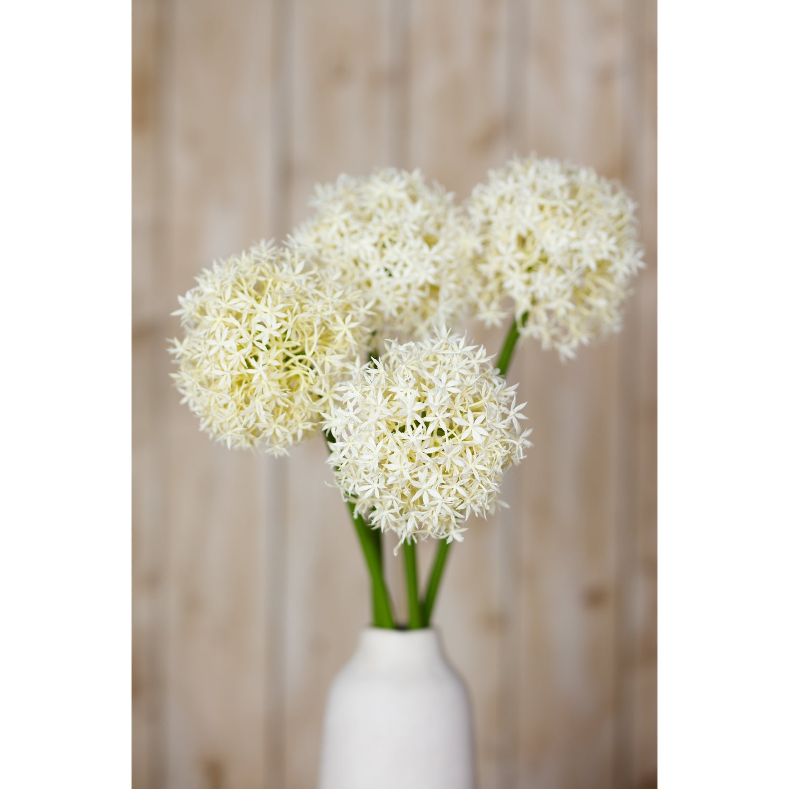 Cream artificial Allium stem with delicate, clustered flowers on slender green stems, arranged in a simple white vase.