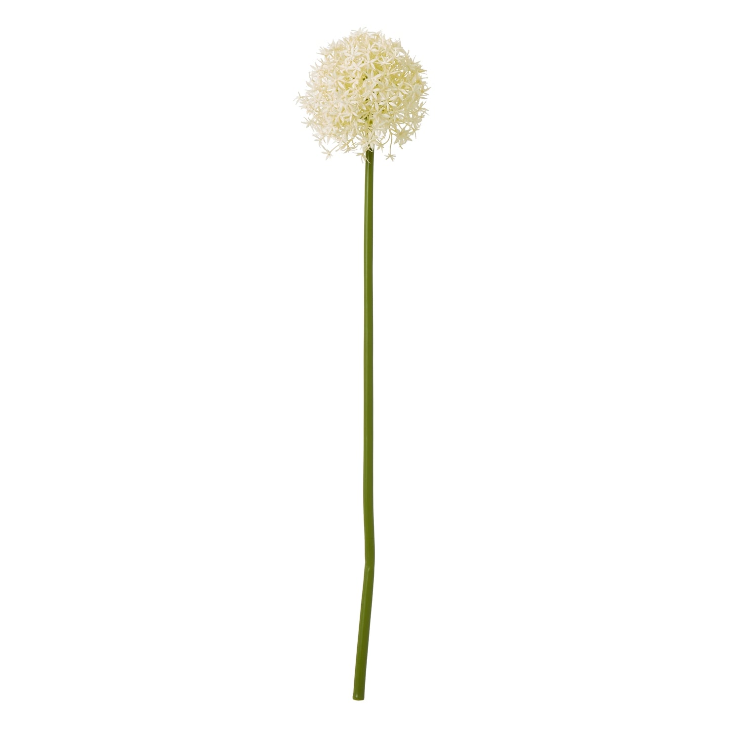 Cream Allium stem with a lush floral head made of delicate cream petals on a slender green stem, perfect for elegant decor.