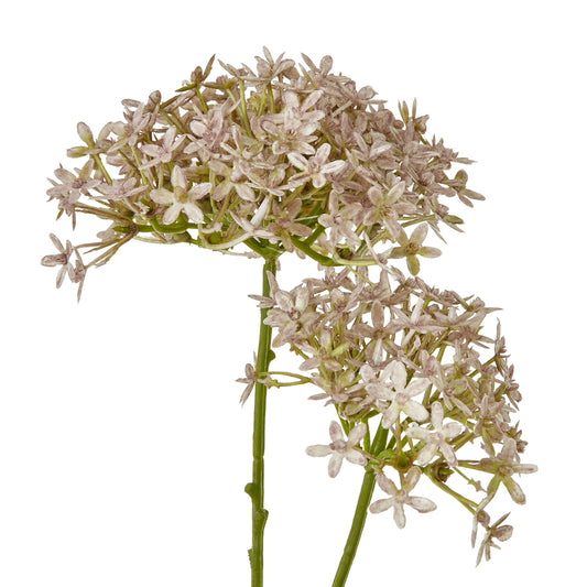 Lilac crown hydrangea stem with delicate clusters of soft lavender blooms and leafy green accents, perfect for elegant decor.