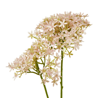 Pink Crown Hydrangea Stem - Single Stem Flowers from the Quanta Home collection.