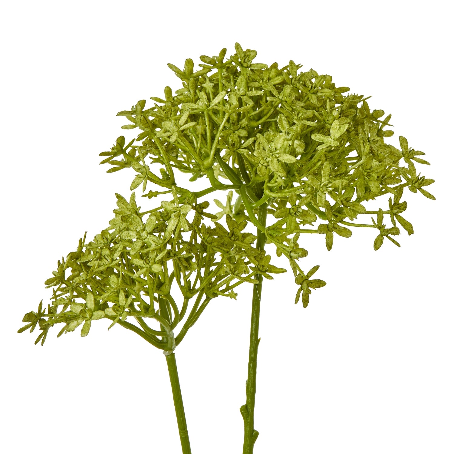 Lifelike green crown hydrangea stem with lush blooms and a sturdy base, ideal for elegant home decor.