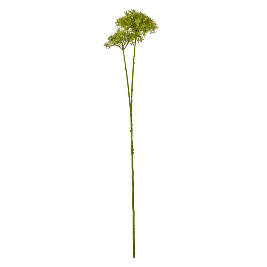 Green Crown Hydrangea Stem - Single Stem Flowers from the Quanta Home collection.