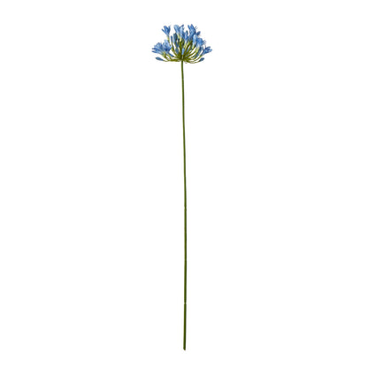 Blue Agapanthus Stem - Single Stem Flowers from the Quanta Home collection.