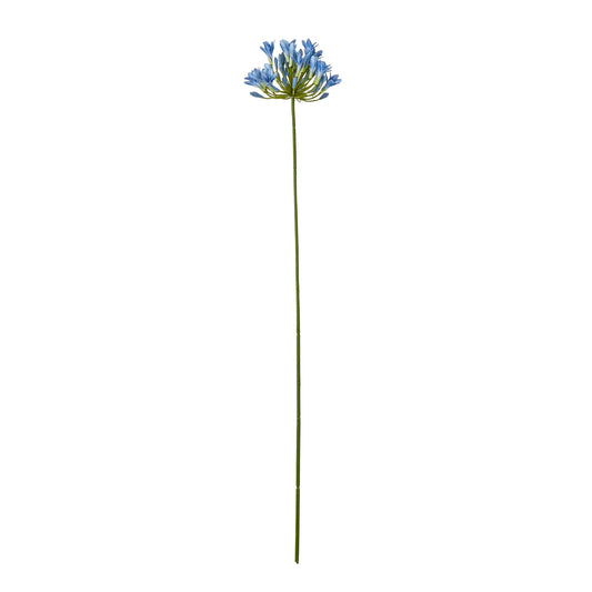 Blue Agapanthus Stem - Single Stem Flowers from the Quanta Home collection.