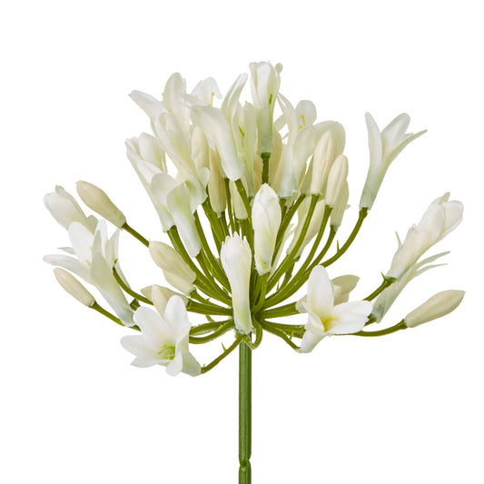Cream agapanthus spray featuring delicate, realistic blooms on a sturdy green stem, perfect for elegant home décor.