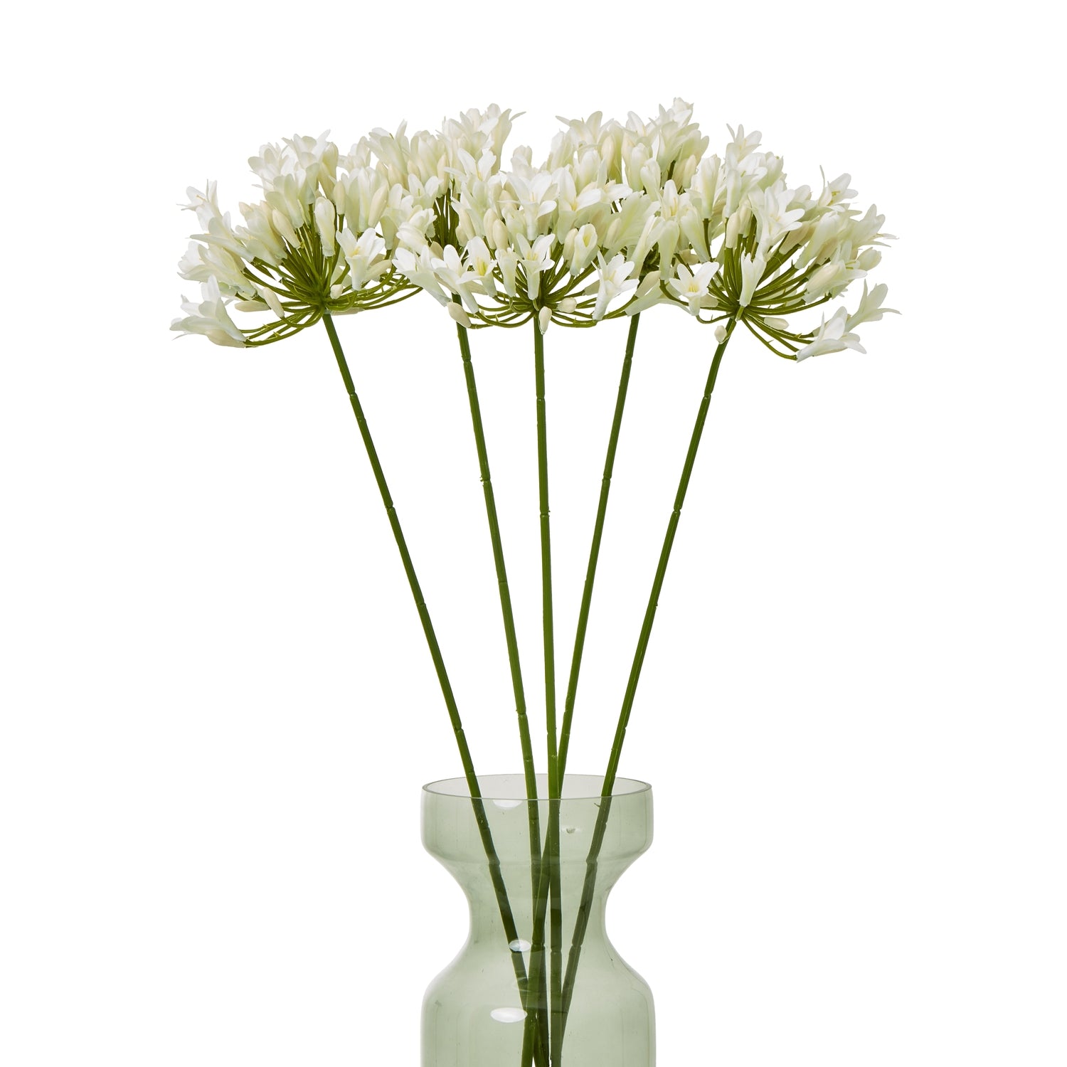 Elegant cream agapanthus spray with multiple botanically accurate blooms atop sturdy green stems, displayed in a soft green vase.
