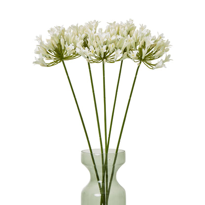 Cream Agapanthus Spray - Single Stem Flowers from the Quanta Home collection.