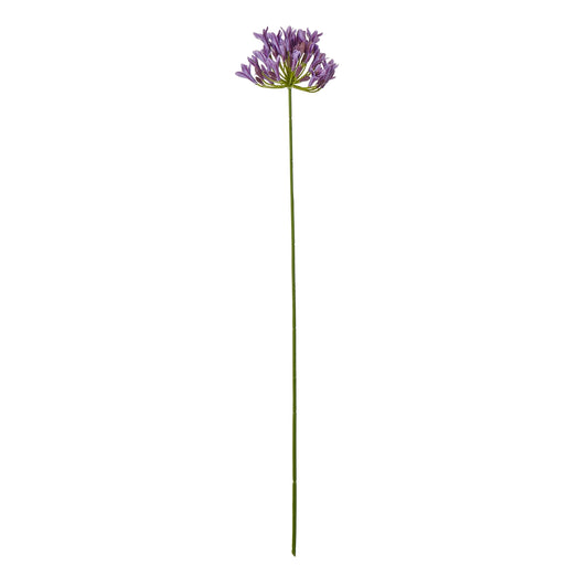 Lilac Agapanthus Spray - Single Stem Flowers from the Quanta Home collection.