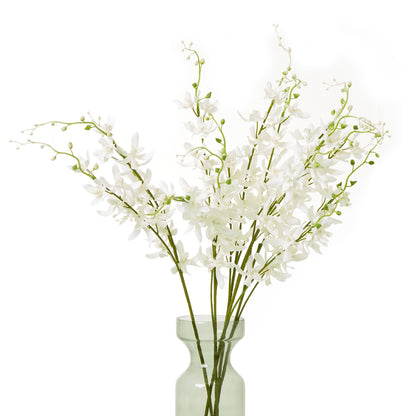 White Cymbidium Spray - Single Stem Flowers from the Quanta Home collection.