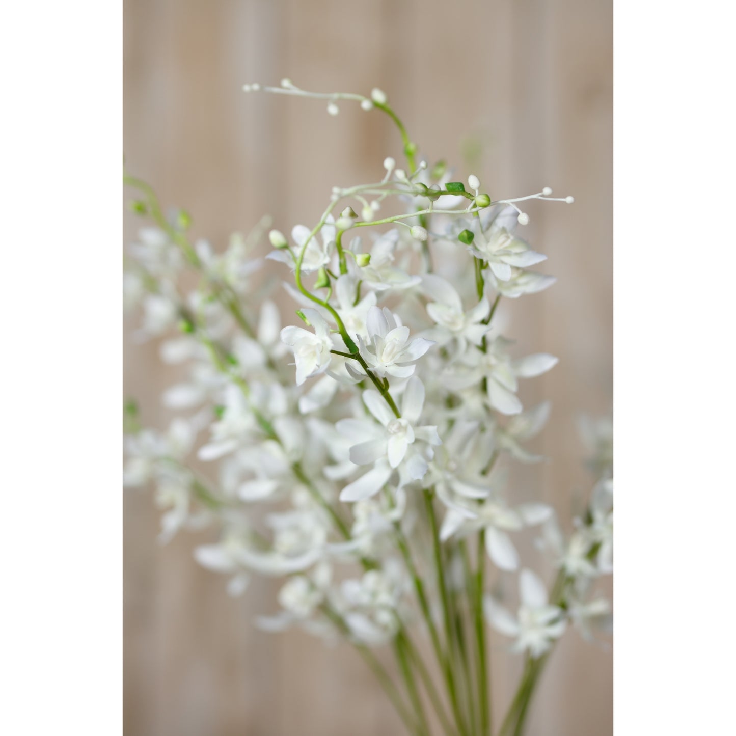 White Cymbidium spray features delicate, botanically accurate flowers on green stems, perfect for modern interiors or as low-maintenance decor.