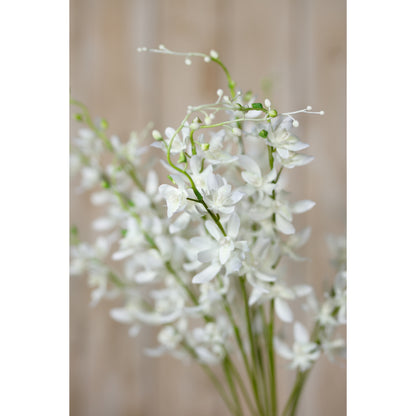 White Cymbidium Spray - Single Stem Flowers from the Quanta Home collection.