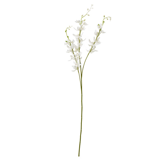 Elegant white cymbidium spray featuring delicate, botanically accurate blooms on slender stems, ideal for modern decor.