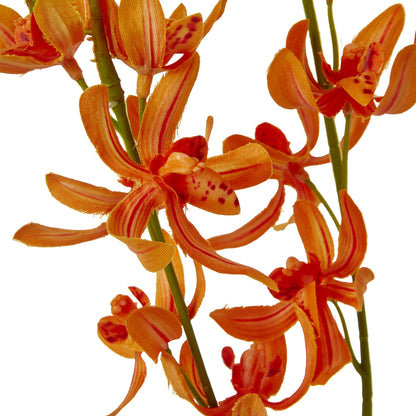 Orange Cymbidium Spray - Single Stem Flowers from the Quanta Home collection.