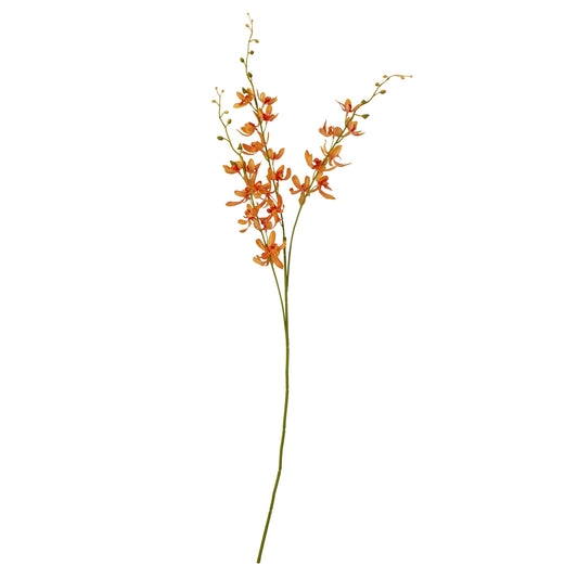 Vibrant orange Cymbidium spray with delicate blooms on long stems, perfect for elegant floral arrangements in any interior style.