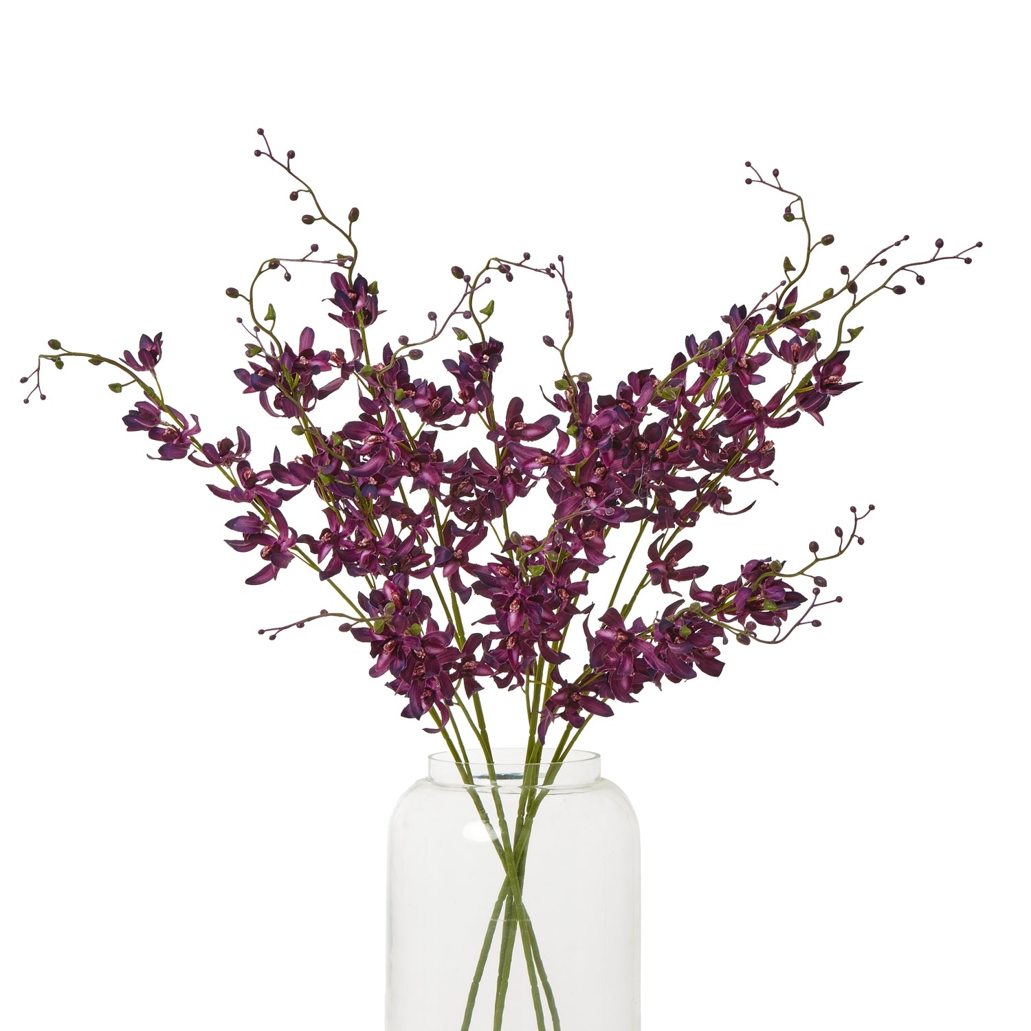 Vibrant purple Cymbidium spray with delicate, velvety petals in a clear vase, adding elegance to various interior styles.